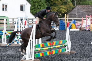 Class 6 - Fences not above 2'9